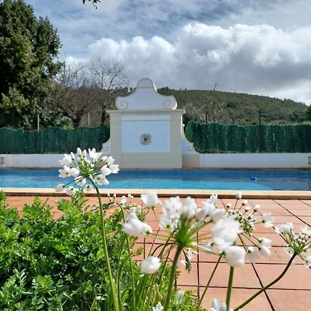 Casa Do Ginjal By Naturalegre Marvão エクステリア 写真
