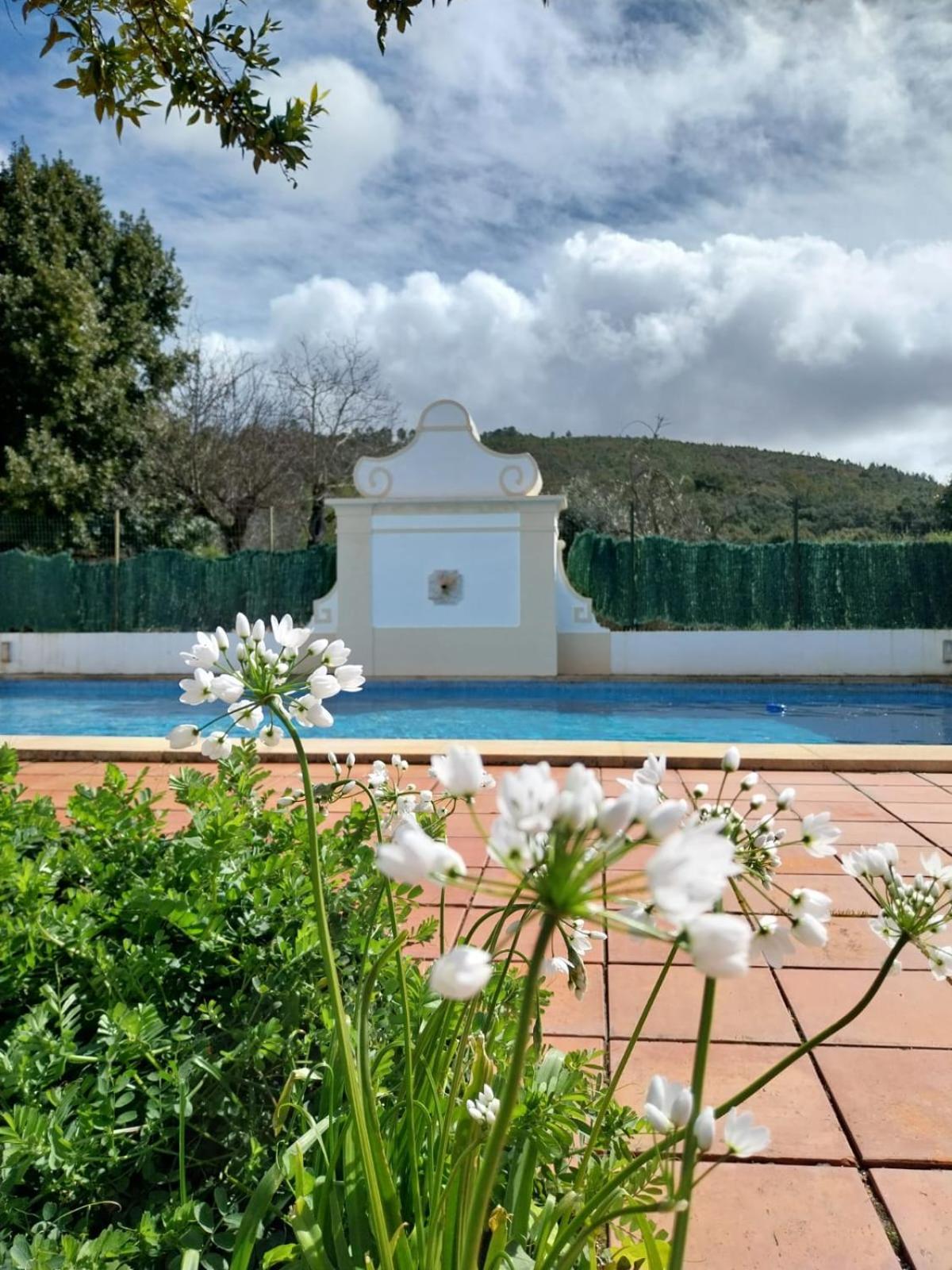 Casa Do Ginjal By Naturalegre Marvão エクステリア 写真